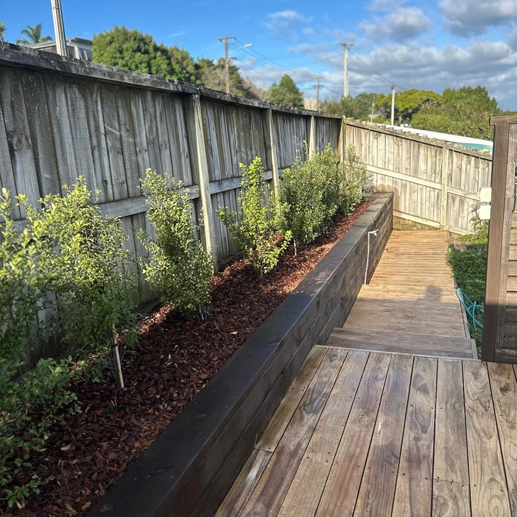 Freshly mulched and tidied garden bed